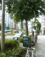 前面道路2