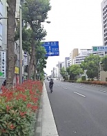 前面道路2