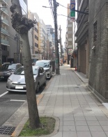 前面道路1
