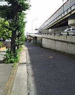 前面道路2