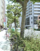 前面道路2