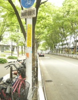 前面道路1