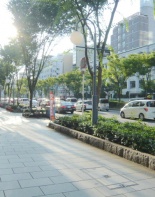 前面道路1