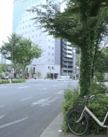 前面道路1