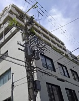大手前コープ
