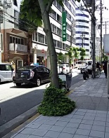 前面道路1