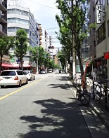前面道路1