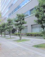 前面道路1