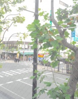 室内（その他2）