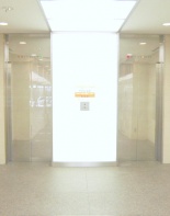 EVホール（1階）