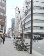 前面道路1