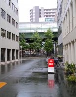 前面道路1
