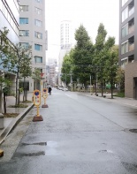 前面道路2